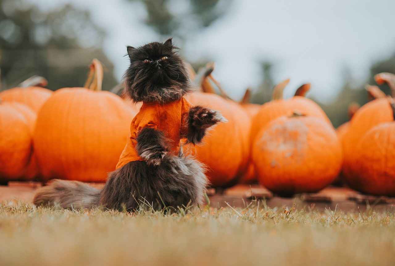 1. Spooky Visuals and Themed Environments
