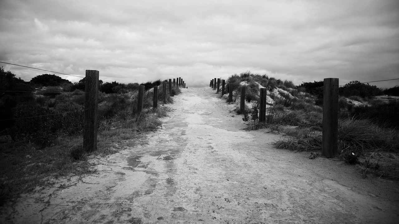 The Thrill of Endless Running