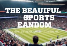 The Beautiful Mess of Sports Fandom: Why We Love to Hate Our Teams The Beautiful Chaos of Sports Fandom: Why We Love to Hate Our Teams