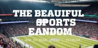 The Beautiful Mess of Sports Fandom: Why We Love to Hate Our Teams The Beautiful Chaos of Sports Fandom: Why We Love to Hate Our Teams